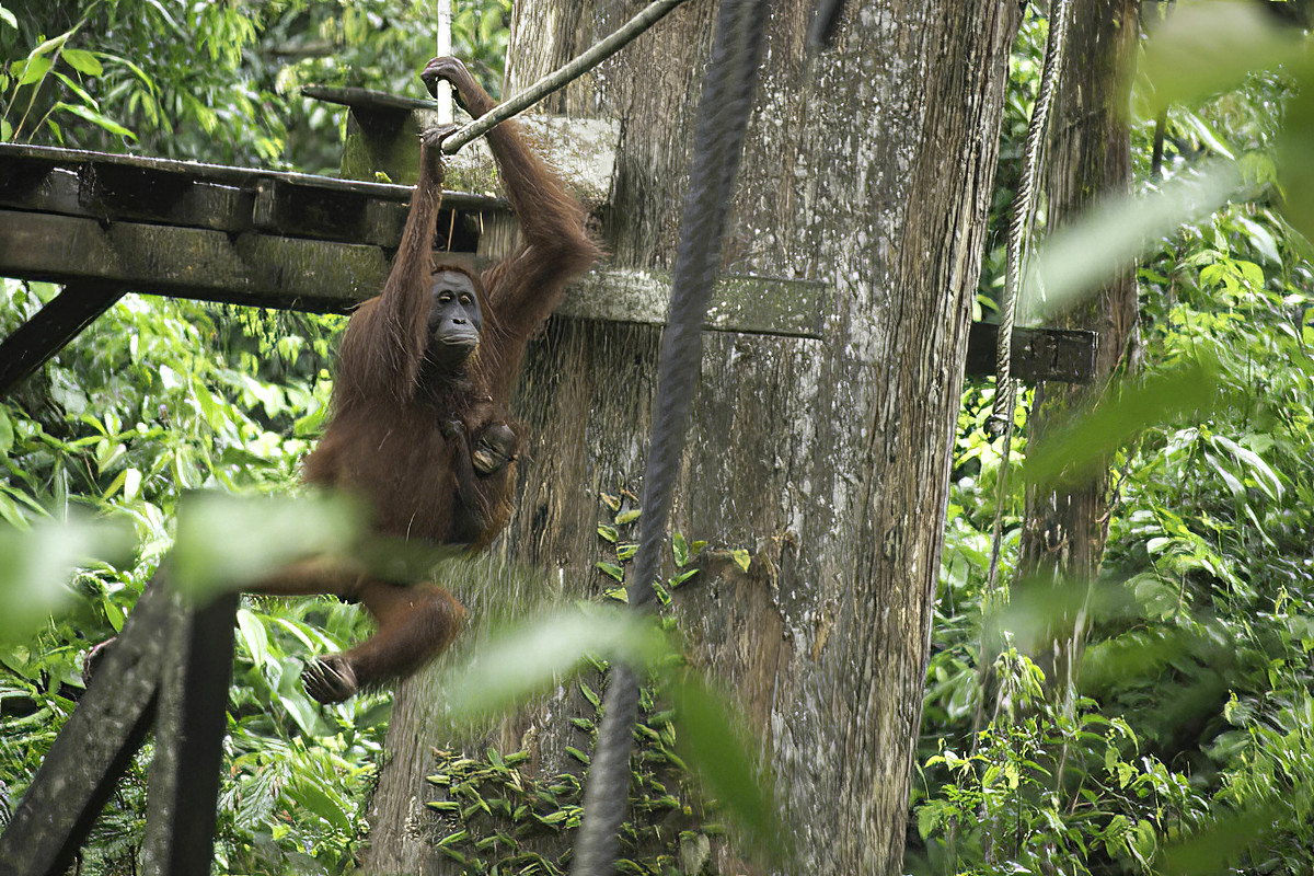 Mom decides to leave.